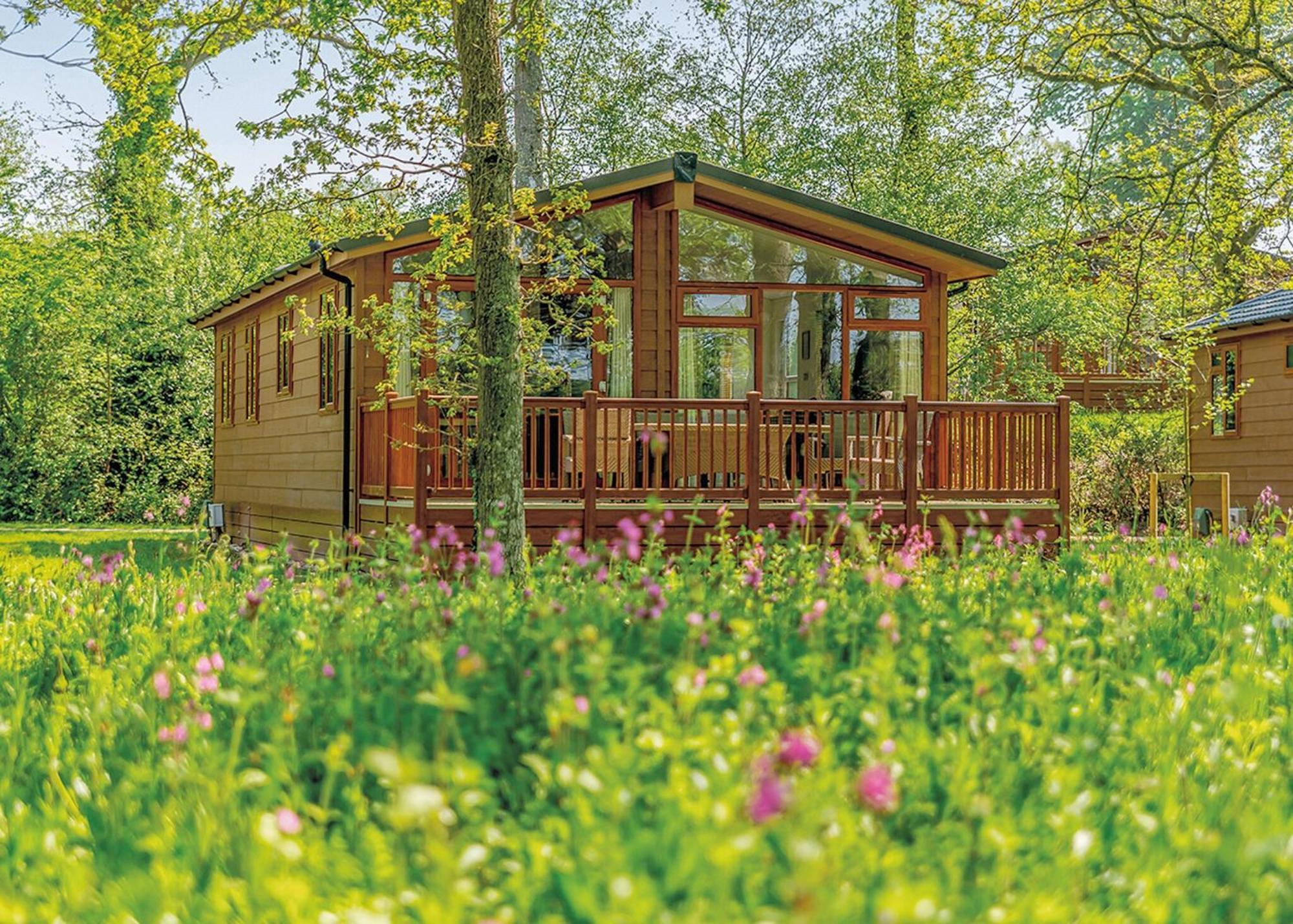 Wareham Forest Lodge Retreat Lytchett Minster Экстерьер фото